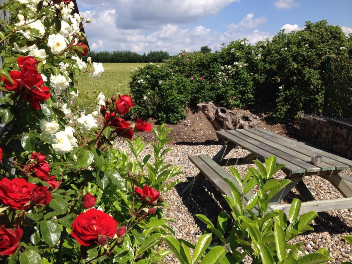 Familienfreundliche Ferienwohnung Am Reuterteich Seedorf  ภายนอก รูปภาพ
